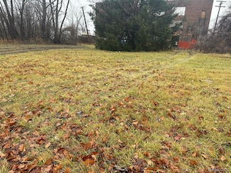 3173 Concord St, Detroit, MI 48207
