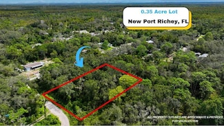 13016 Catalona Ave, Moon Lake, FL 34654
