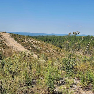 9999 Polk Road 62, Mena, AR 71953