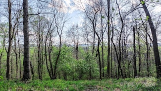 00 Somers Rd, Union Grove, NC 28689