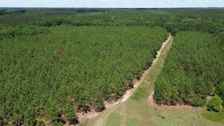 2880 W River Rd, Rhine, GA 31077