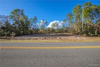 10510 N Elkcam Blvd, Citrus Springs, FL 34433