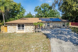 3460 Laurel Dr, Mount Dora, FL 32757
