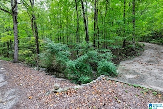 6061 Clay Palmerdale Rd Unit 1, Pinson, AL 35126