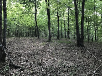 0 Bluff View Dr Unit RTC2710498, Dunlap, TN 37327