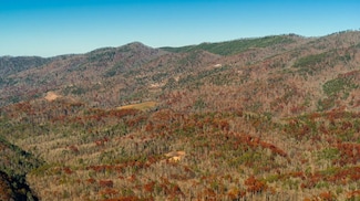 4903 Long Rifle Rd, Walland, TN 37886
