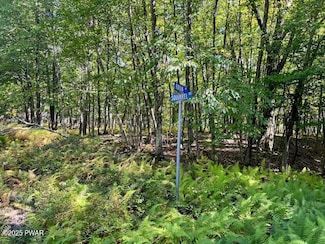 Lot 425 Corner Squirrel & Robin Ln, Dingmans Ferry, PA 18328