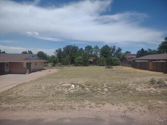 437 W Pepper Tree Way, Pueblo West, CO 81007