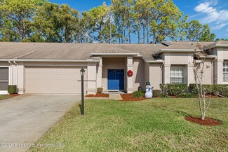 7423 Woodhollow Rd, Spring Hill, FL 34606