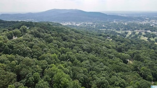 0 Lanier Place Unit 26.25 ac, Anniston, AL 36207