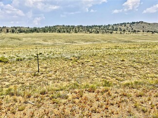 1579 S Muley Gulch Dr, Hartsel, CO 80449