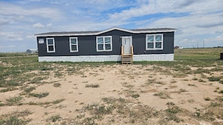 6901 Pr Henry, Shallowater, TX 79363