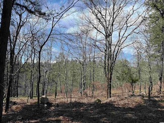 TBD Sangster Ln, Hot Springs, AR 71901