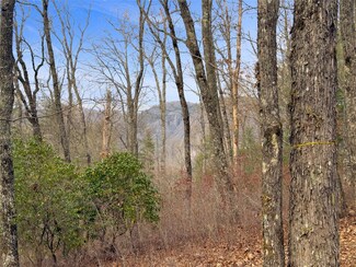 Lt 79 Tuttle Mink Trail, Sapphire, NC 28774