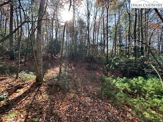 Lot 27 Walden Ln, West Jefferson, NC 28694