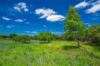 0 Jung Rd Unit ACT5322377, Harper, TX 78631