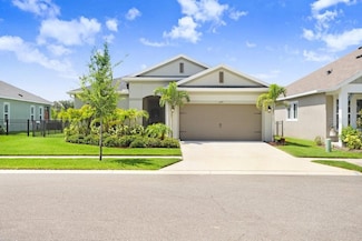 6097 Golden Nettle Dr, Apollo Beach, FL 33572