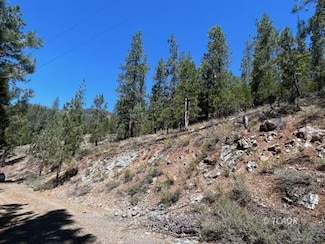261 Ridgewood Rd, Coffee Creek, CA 96091