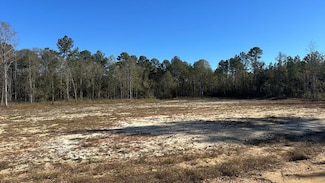 00 Simpson Rd, Lyons, GA 30436