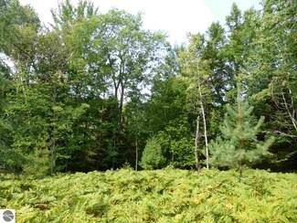 Lot 3 Shields Dr, Beulah, MI 49617