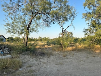 253 Dub Dr, Rosita South, TX 78852