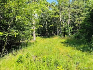 00 Hwy Bb, Fairdealing, MO 63939