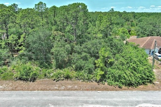 1305 Wellington Ave, Lehigh Acres, FL 33972