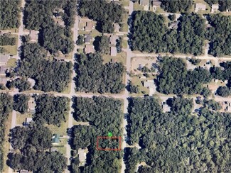 462 N Dugan Ave, Inverness, FL 34453
