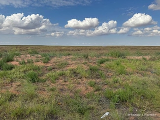 LOT 23 U S 180, Seminole, TX 79360