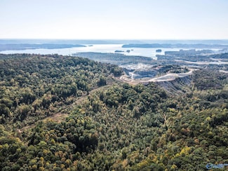 63 McCorkle Mountain Rd, Scottsboro, AL 35769