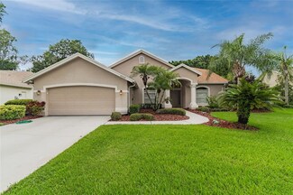 4343 Winding Oaks Cir, Mulberry, FL 33860