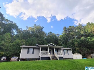 861 Chinch Creek Rd, Piedmont, AL 36272