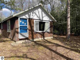 7299 Chain Lake Dr, South Branch, MI 48761