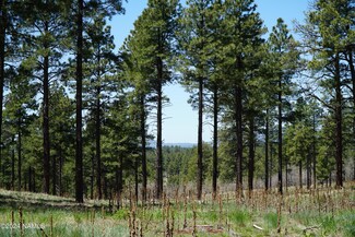 13398 E Fallow Deer Rd Unit 28, Parks, AZ 86018