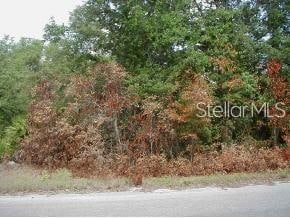 0 Malauka Loop Unit MFROM663129, Ocklawaha, FL 32179