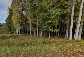 0 Pine Meadow Dr, Travelers Rest, SC 29690