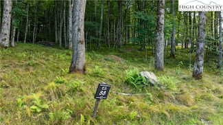 ES88 Lands End Trail, Banner Elk, NC 28604