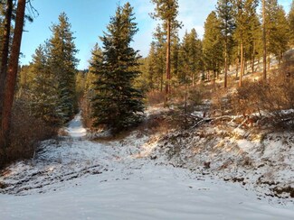 Lot 35 E Canyon Springs Way, Loon Lake, WA 99148