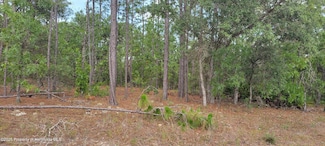 7253 N Dustin Terrace, Citrus Springs, FL 34434