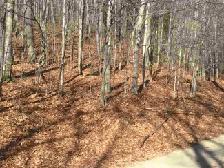 4.6.9 Richardson Trail, Campton, NH 03223