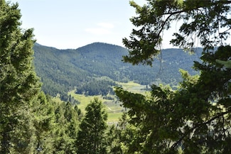 Tbd Meadow Gulch Rd, Butte, MT 59701