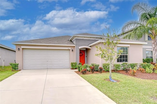 10115 Paradise Fish Dr, Riverview, FL 33578