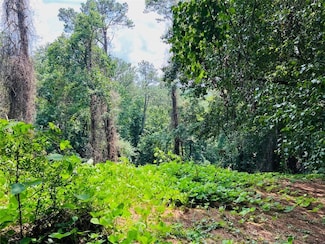 Lot 6 N Riverside Cir, Sandy Springs, GA 30328