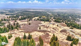 65135 Clyde Thomas Ave, Anchor Point, AK 99556