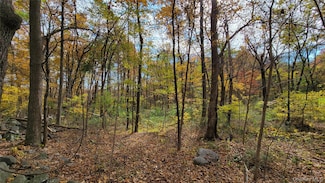 15 Rose Estates, Walden, NY 12586