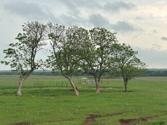 131+/-ac Stine Rd, Bellevue, TX 78582