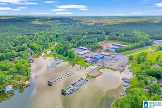451 Paradise Point Dr, Columbiana, AL 35051