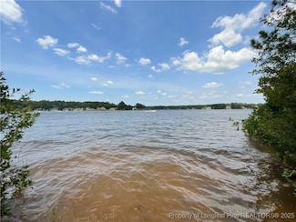 233 Clearview Ct, Sanford, NC 27332