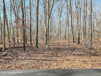 207 Cathleen Dr, East Stroudsburg, PA 18302