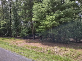 24 Blue Sky Ct, Monroe, VA 24574